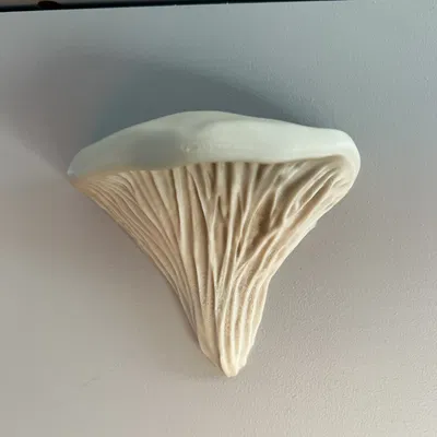 Tay nắm nấm cây | Tay nắm nấm