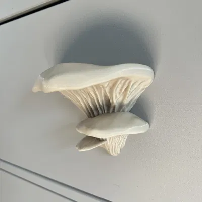 Tay nắm nấm cây | Tay nắm nấm