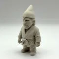Chuck Gnome-ris - Thumbnail 3