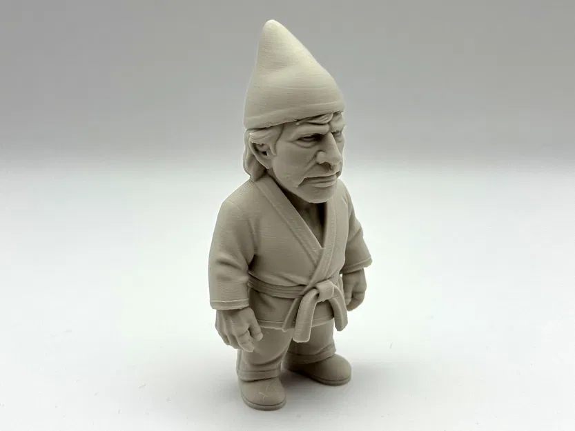 Chuck Gnome-ris - Image 4