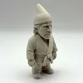 Chuck Gnome-ris - Thumbnail 4
