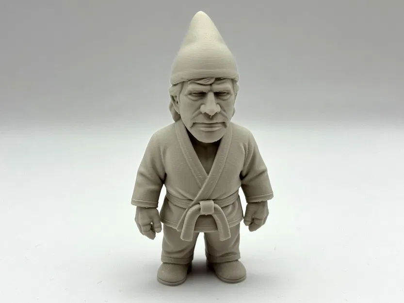Chuck Gnome-ris - Image 5