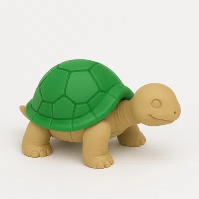 Mô hình Rùa (Turtle) - 2 phiên bản