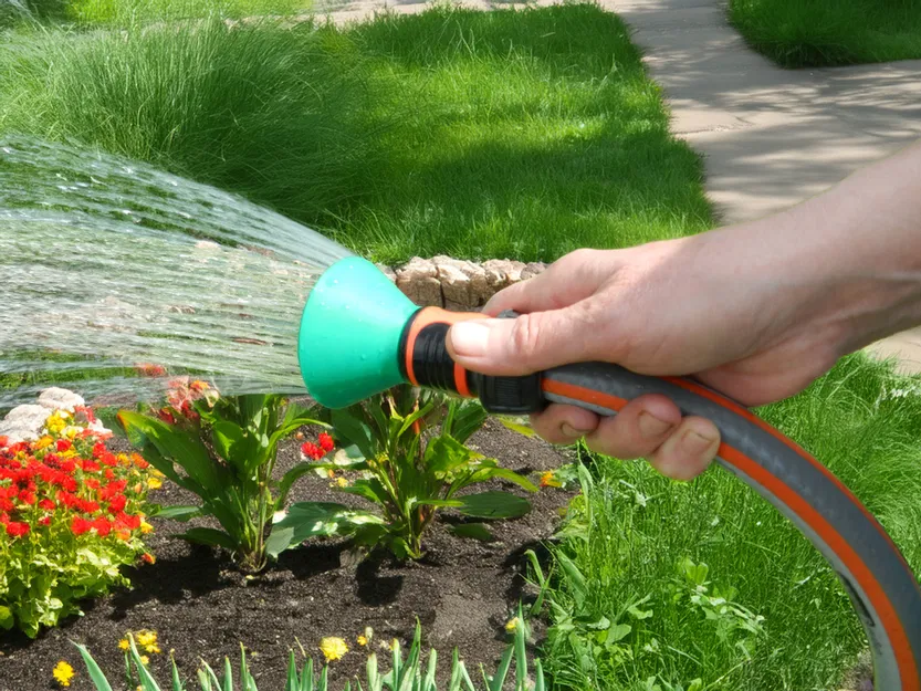 Bình Xịt Tưới Cây Vườn - Image 1