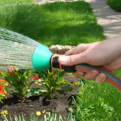 Bình Xịt Tưới Cây Vườn