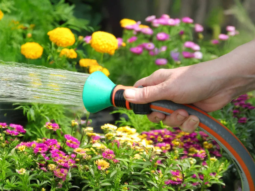 Bình Xịt Tưới Cây Vườn - Image 2