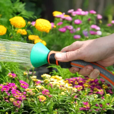 Bình Xịt Tưới Cây Vườn