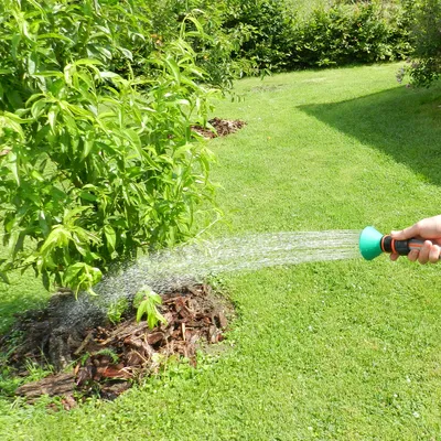 Bình Xịt Tưới Cây Vườn