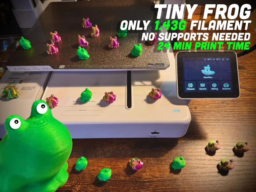 Ếch Bé Xíu – Không Cần Supports – Dễ thương mini - Image 1