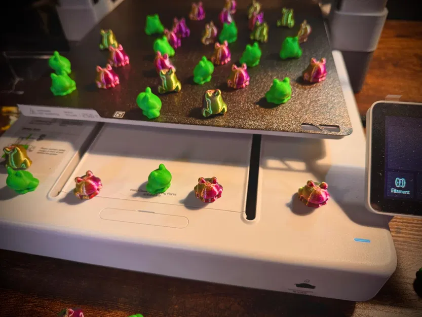 Ếch Bé Xíu – Không Cần Supports – Dễ thương mini - Image 2