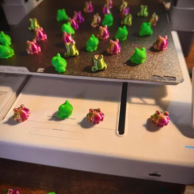 Ếch Bé Xíu – Không Cần Supports – Dễ thương mini