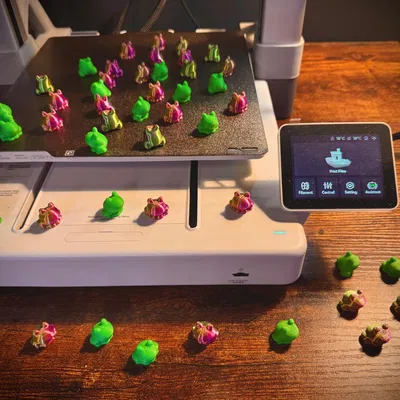 Ếch Bé Xíu – Không Cần Supports – Dễ thương mini