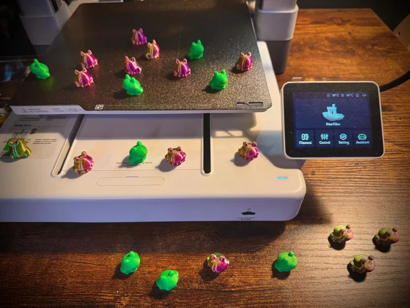 Ếch Bé Xíu – Không Cần Supports – Dễ thương mini - Image 5