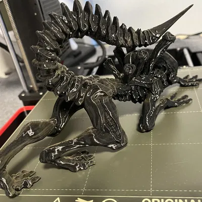 CẬP NHẬT! Ví dụ về Hỗ trợ Hữu cơ Tùy chỉnh