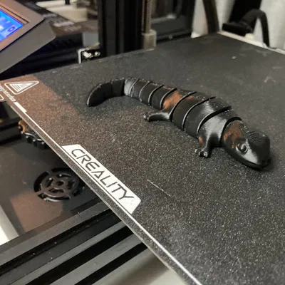 Thằn Lằn Agama Dễ Thương Co Giãn (In Liền Mạch)