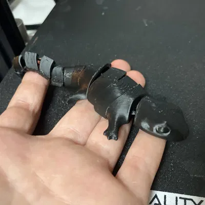 Thằn Lằn Agama Dễ Thương Co Giãn (In Liền Mạch)