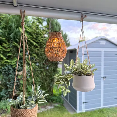 Móc Kẹp Wigo Rolli Chính Hãng - Hàng Chuẩn