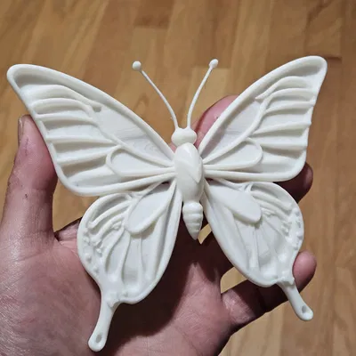 Nghệ Thuật Bướm