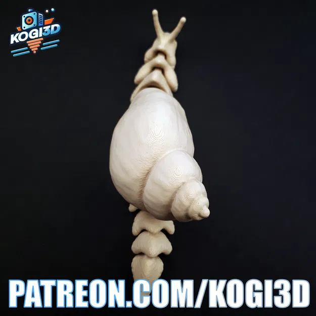 Ốc Sên Châu Phi Khổng Lồ Khớp Nối (Giant Articulated African Snail) - Image 3