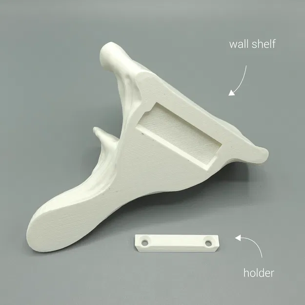 Kệ Nấm "Oyster" - Image 4