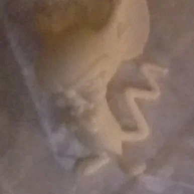 Tượng Pinky và Não