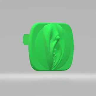 Nắp Bịt Ổ Điện Hình Âm Đạo