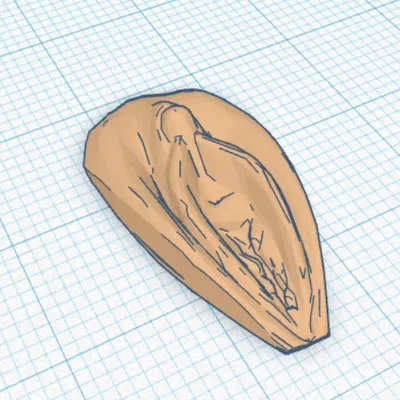 Khuôn Giữ/Trưng Bày Nhẫn, Khuyên Tai, Dép