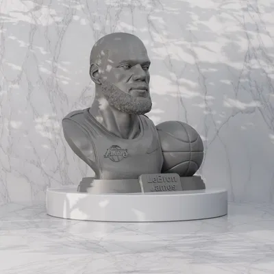 Mô hình 3D LeBron James - Cầu thủ bóng rổ Lakers