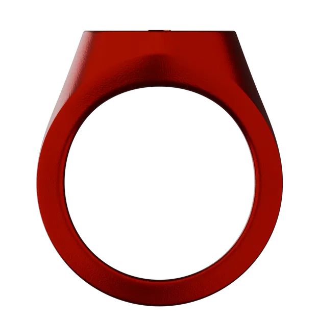 Nhẫn Biệt Đội Đèn Lồng - Image 19