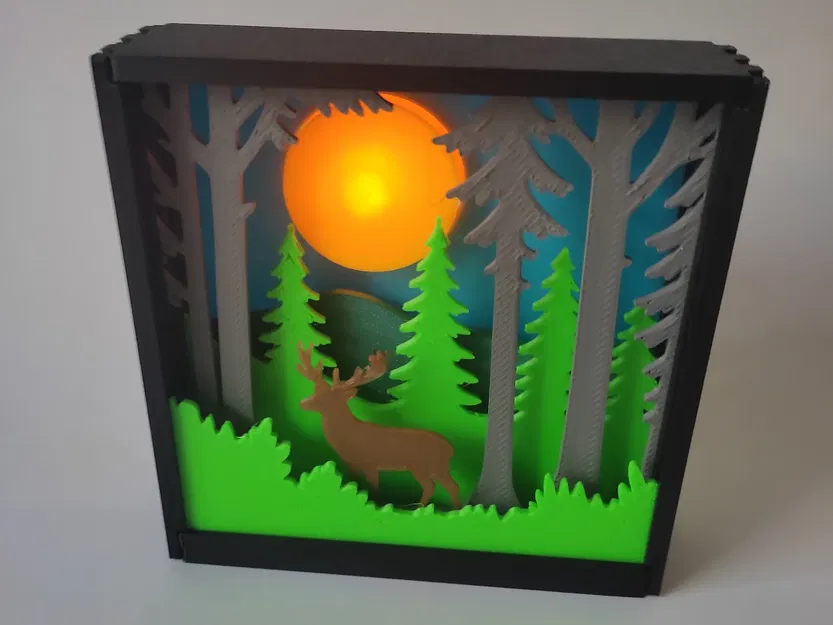 Hộp Bóng Đổ Rừng Cây - Image 1