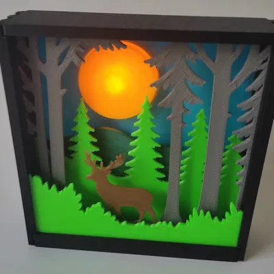 Hộp Bóng Đổ Rừng Cây