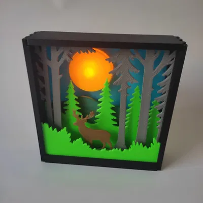 Hộp Bóng Đổ Rừng Cây