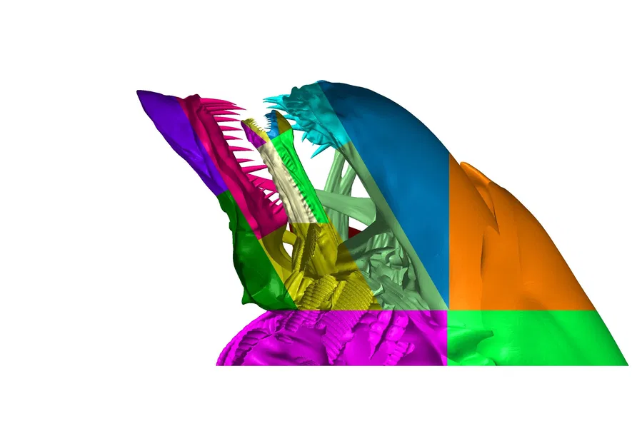 Alien Queen - Tái Sinh - Dễ In! - Tất Cả STL Online Bao Gồm Khung! - Image 4