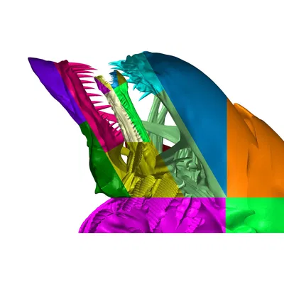 Alien Queen - Tái Sinh - Dễ In! - Tất Cả STL Online Bao Gồm Khung!