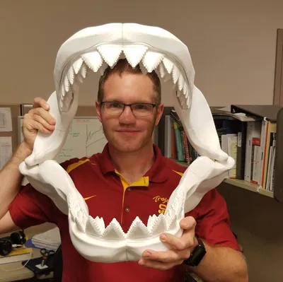 Cá Mập Trắng Khổng Lồ Có Thể Tỷ Lệ