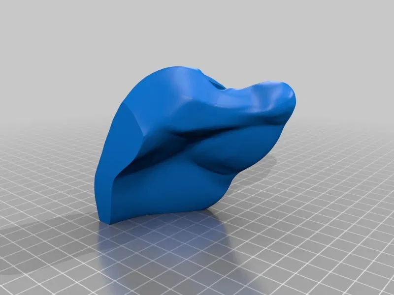 Cá Mập Trắng Khổng Lồ Có Thể Tỷ Lệ - Image 19