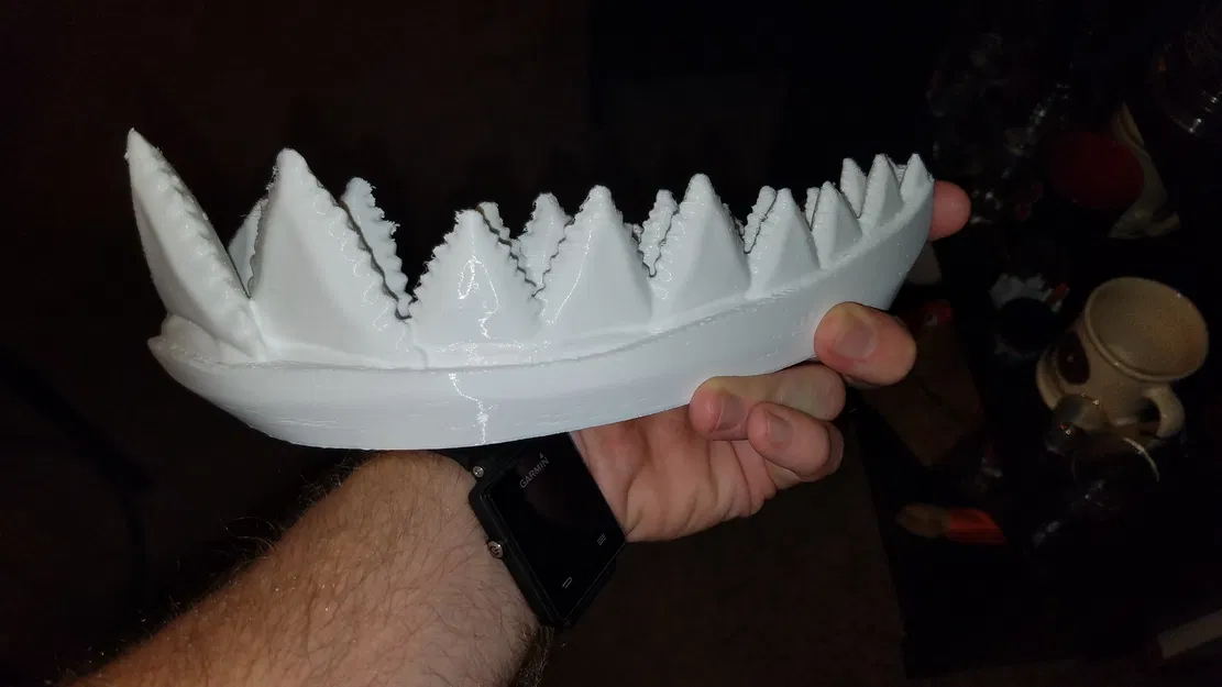 Cá Mập Trắng Khổng Lồ Có Thể Tỷ Lệ - Image 22