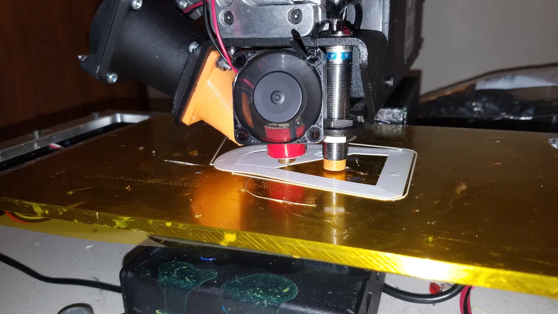 Cá Mập Trắng Khổng Lồ Có Thể Tỷ Lệ - Image 25