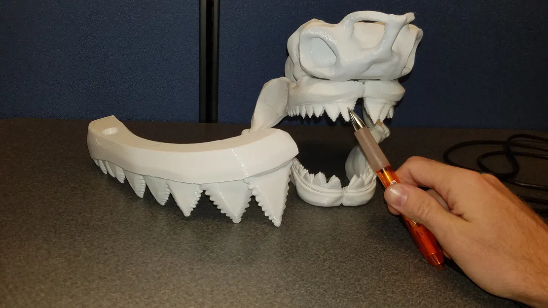 Cá Mập Trắng Khổng Lồ Có Thể Tỷ Lệ - Image 29