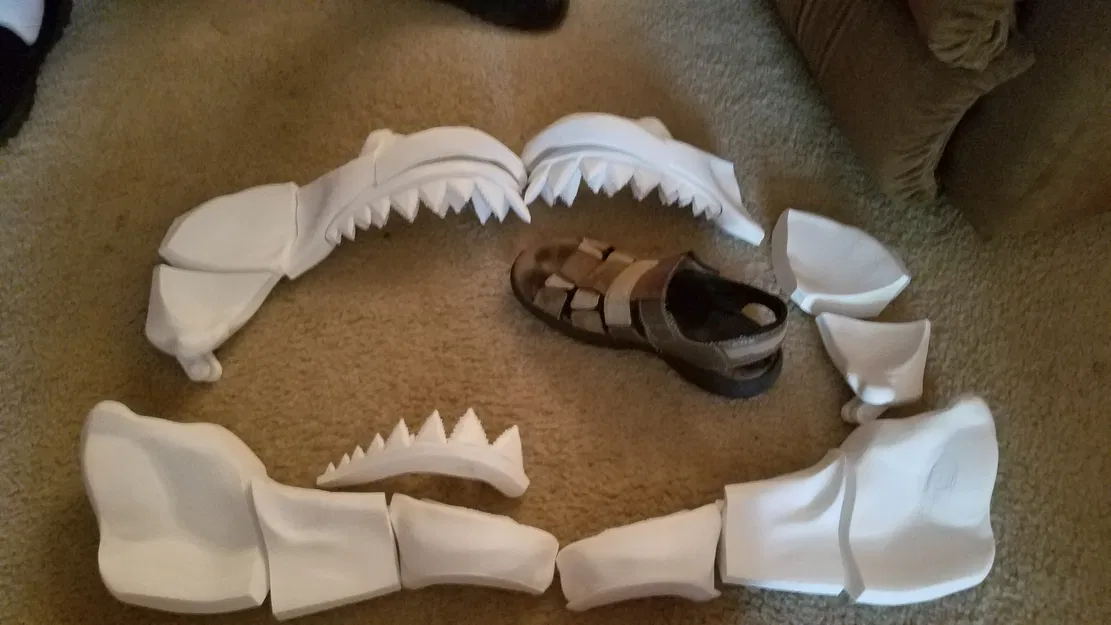 Cá Mập Trắng Khổng Lồ Có Thể Tỷ Lệ - Image 30