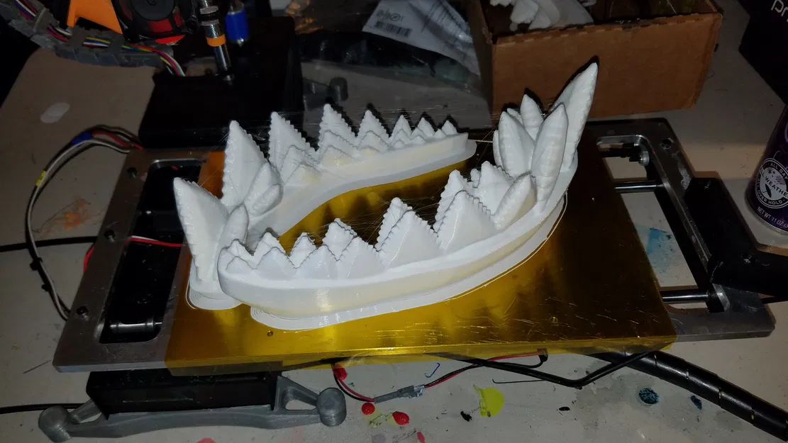 Cá Mập Trắng Khổng Lồ Có Thể Tỷ Lệ - Image 32