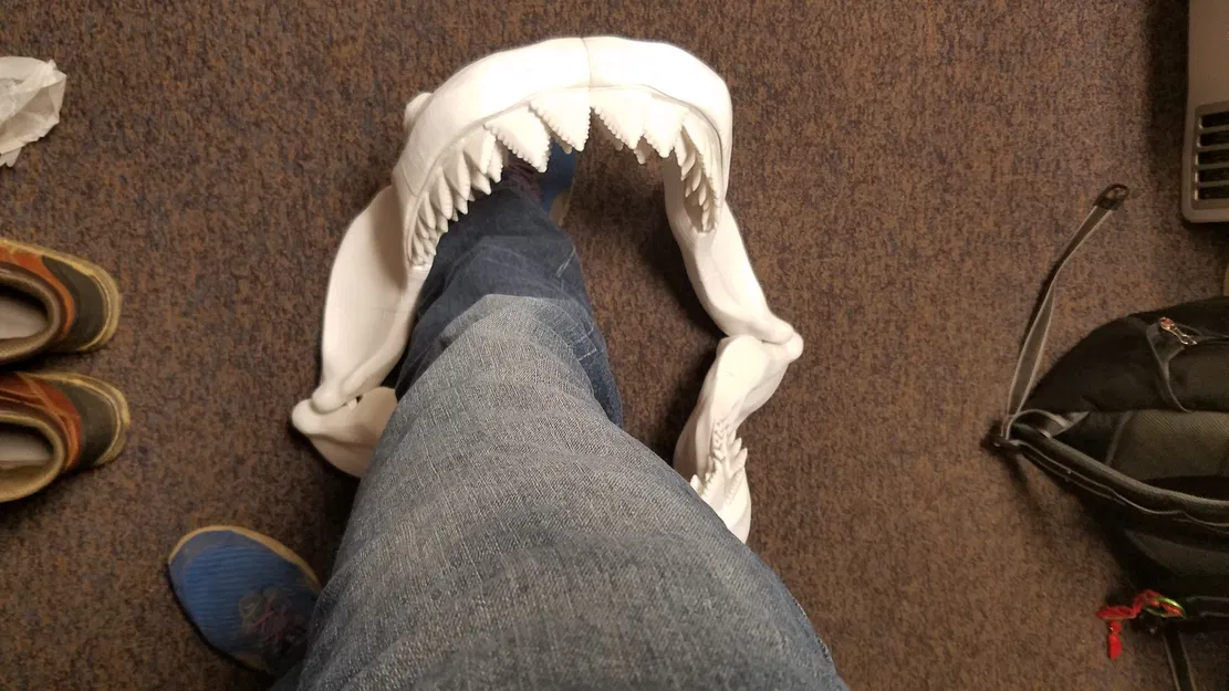 Cá Mập Trắng Khổng Lồ Có Thể Tỷ Lệ - Image 35