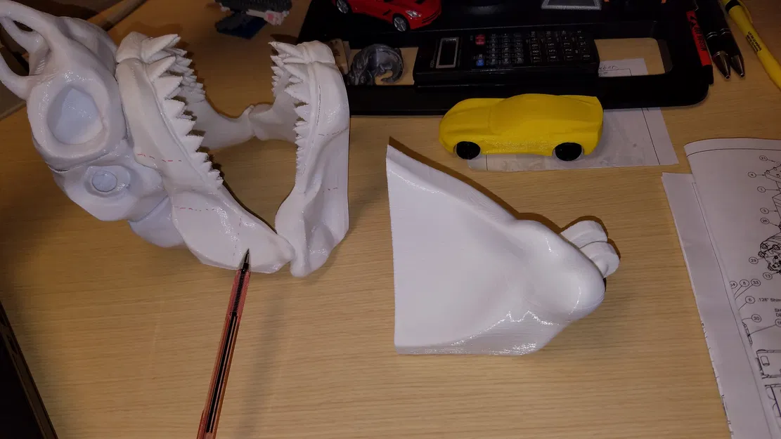 Cá Mập Trắng Khổng Lồ Có Thể Tỷ Lệ - Image 41