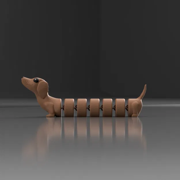 CHÓ BẠCH TUỘC KHỚP NỐI - Image 1