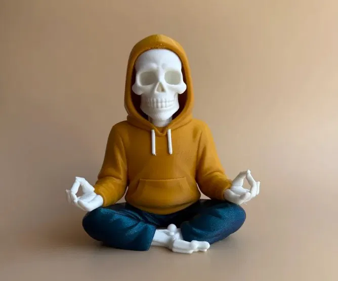 Thiền Định Đến Tận Xương Tủy - Image 1