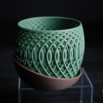 Chậu lan Quasar · Thiết kế tối giản hiện đại