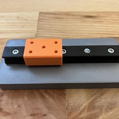 Ray dẫn hướng tuyến tính