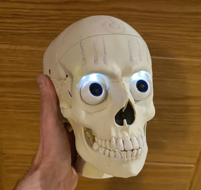 Skully - Đầu lâu rô-bốt tương tác hoạt hình - Image 1