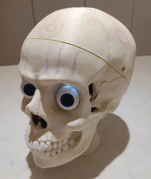 Skully - Đầu lâu rô-bốt tương tác hoạt hình - Image 2