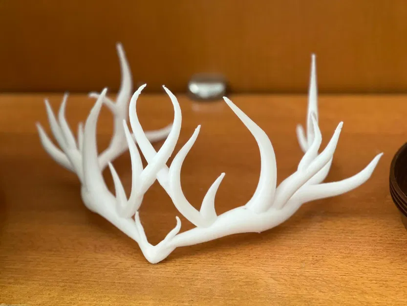 Sylvan Halo - Vòng Nguyệt Quế Ma Thuật - Image 1